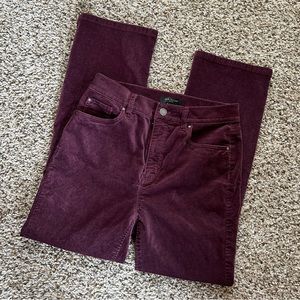 Ann Taylor Velvet Mid Rise Petite Pants Bordeaux NWOT